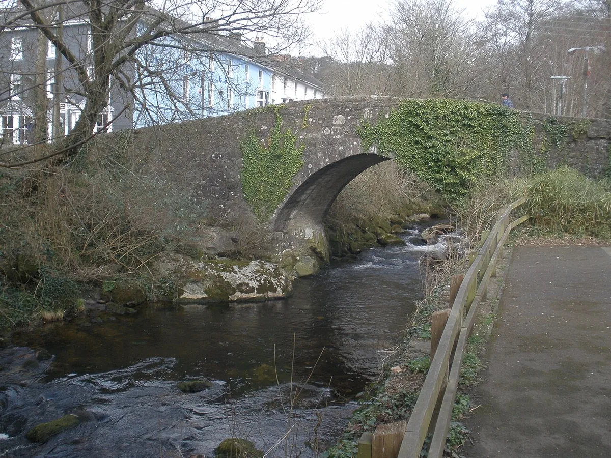 Ivybridge local area